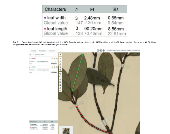 Annotate – CNAM – MNHN